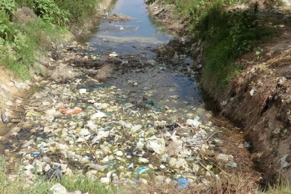 ممدوح الولى يكتب: التشريعات البيئية المصرية.. قوانين عديدة وفاعلية محدودة